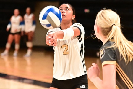 Delfin ties ace record as Northeast sweeps Wallace-Selma