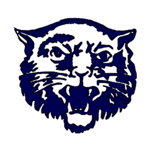 Baldwyn Bearcats logo
