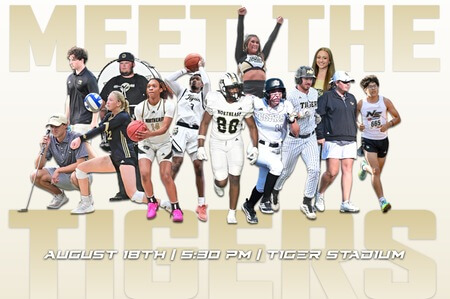 Meet the Tigers moves to Tiger Stadium for 2026 celebration